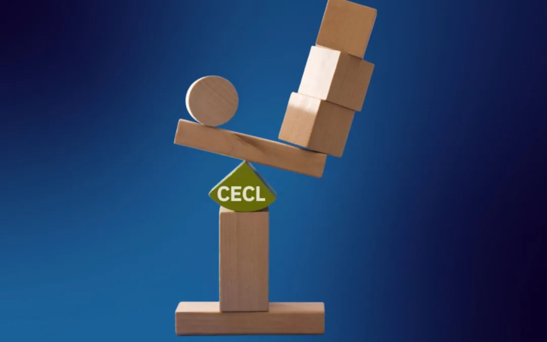 Is Your CECL System Meeting Your Needs?